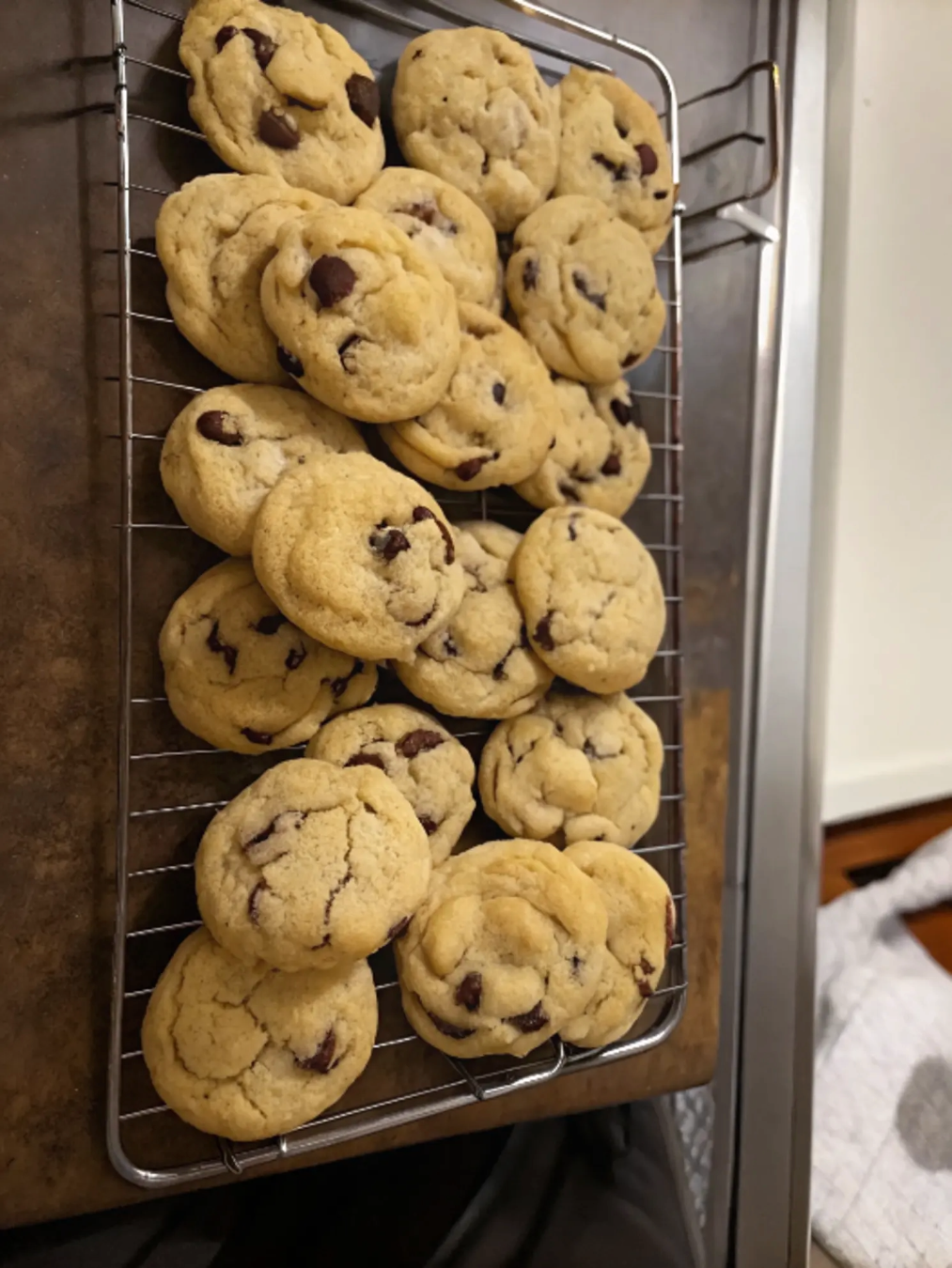 Perfected Sourdough Chocolate Chip Cookies