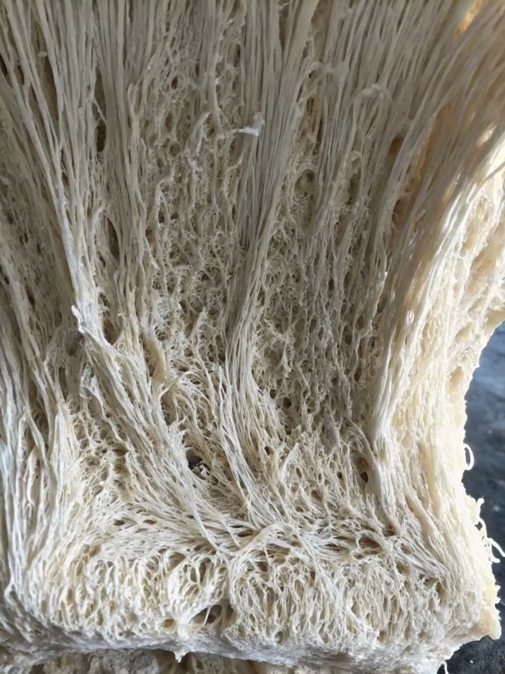 The Ultimate Sourdough Starter Guide