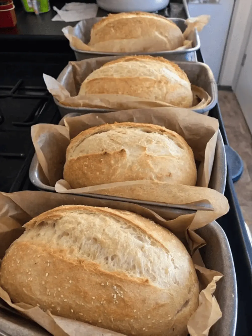 Homemade No-Knead Sandwich Bread