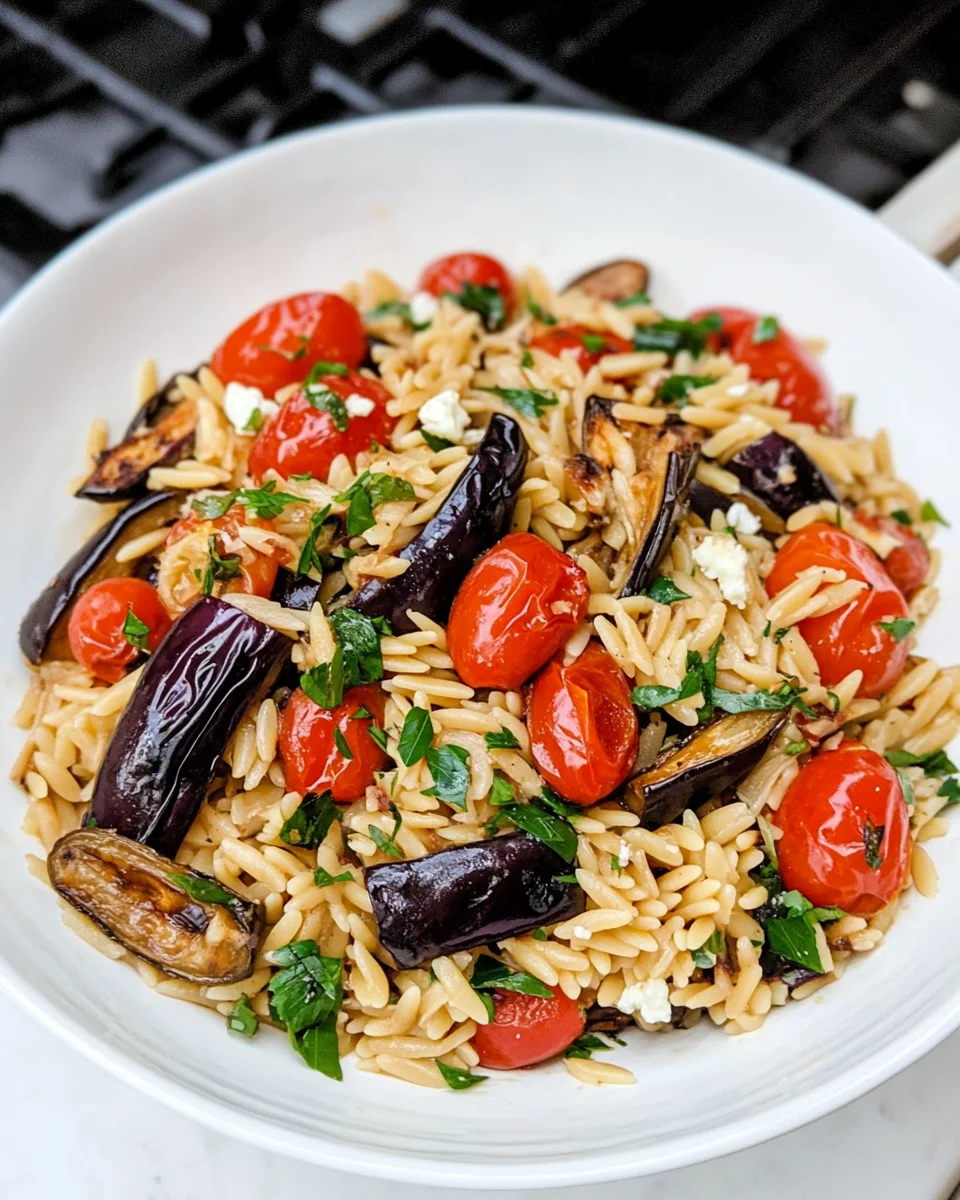 Roasted Eggplant & Tomato Orzo Pasta